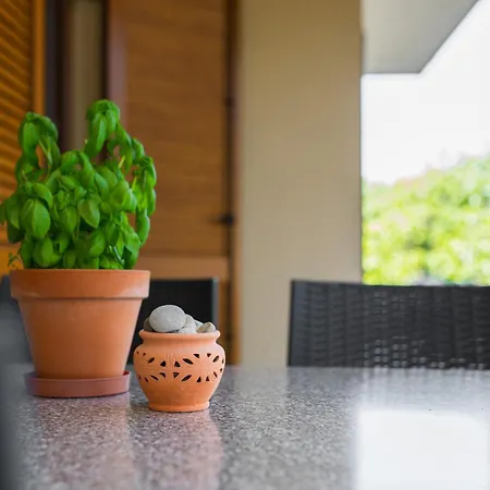 아파트 Pina 크르크